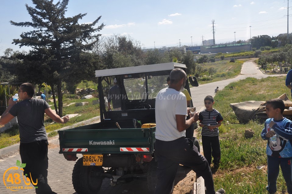 tasohamlalanjna (42).jpg